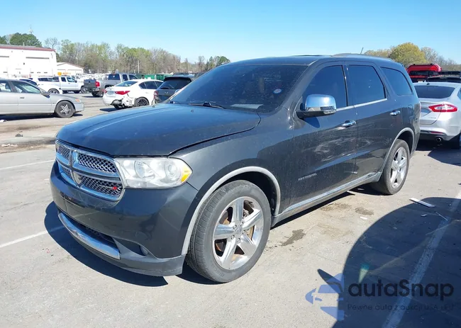 1D4SE5GTXBC710566: 44631946