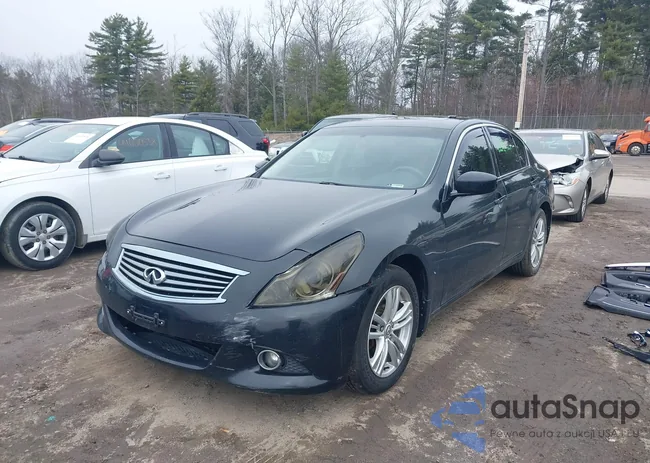 JN1CV6AR2AM460384: 44632263