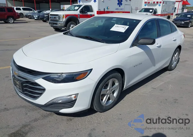 1G1ZC5ST1KF198213: 44637183