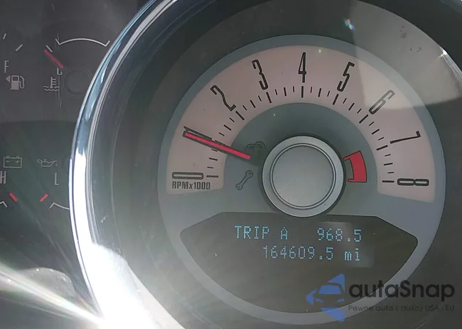 1ZVBP8AM6B5134082: 44638430