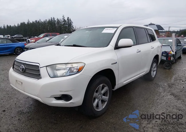 JTEEW41AX82023249: 44641127