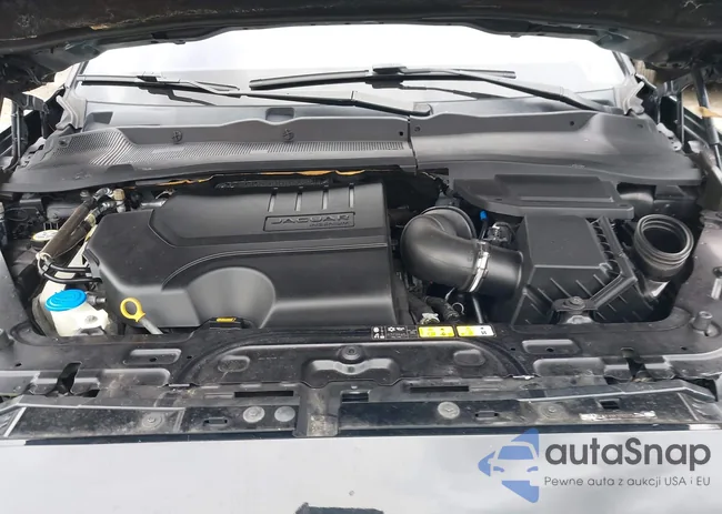 SADFJ2FXXK1Z42775: 44643891