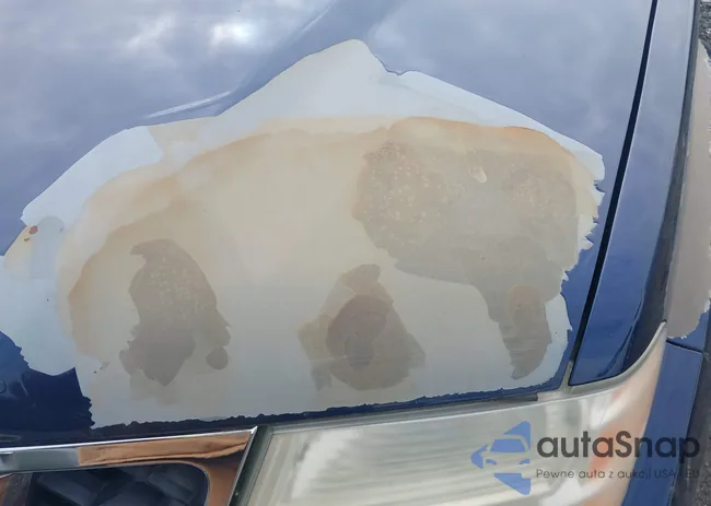 5N1AR18B49C605572: 44645723