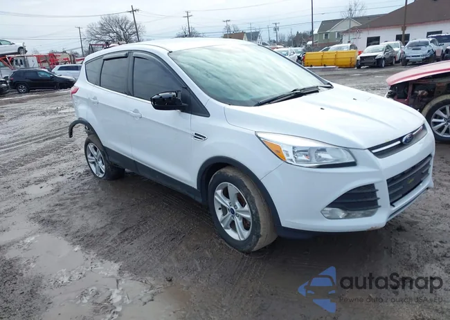 1FMCU9GX7GUC53954: 44645755