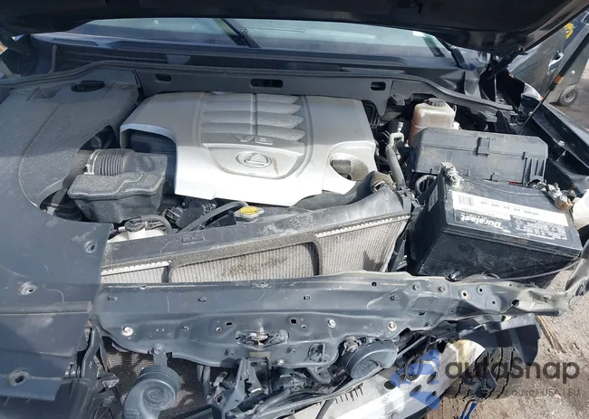 JTJHY7AX3B4083481: 44646417