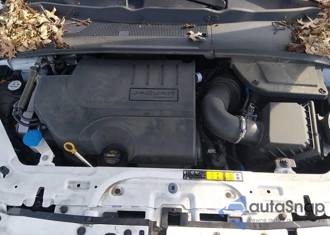 SADFK2FX2L1012853: 44646182