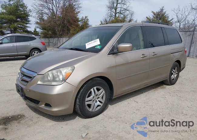 5FNRL38616B402807: 44647002