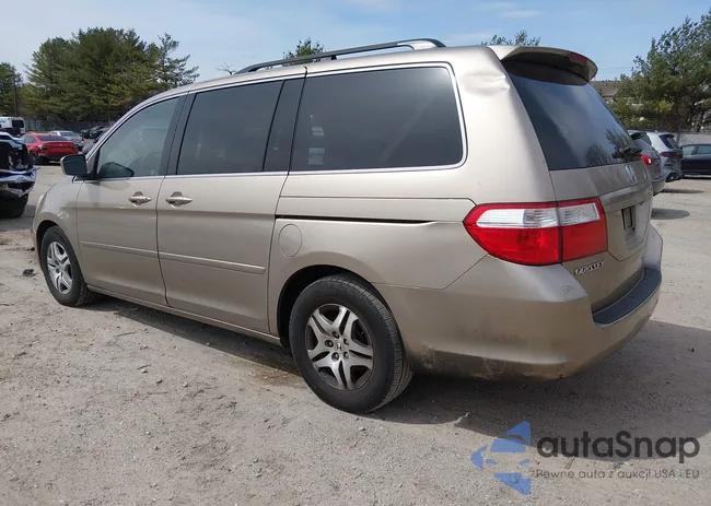 5FNRL38616B402807: 44647002