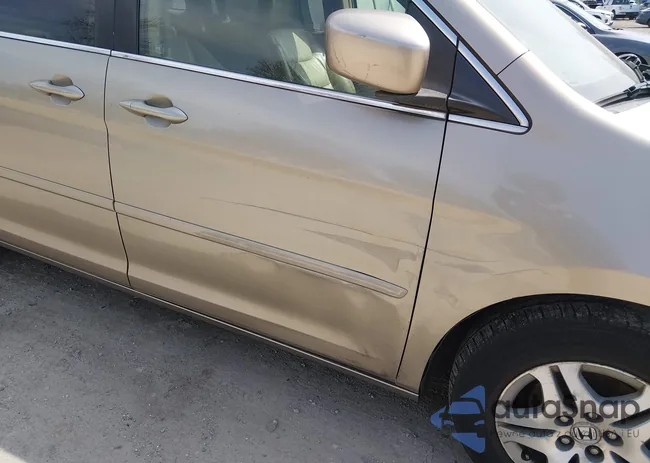 5FNRL38616B402807: 44647002