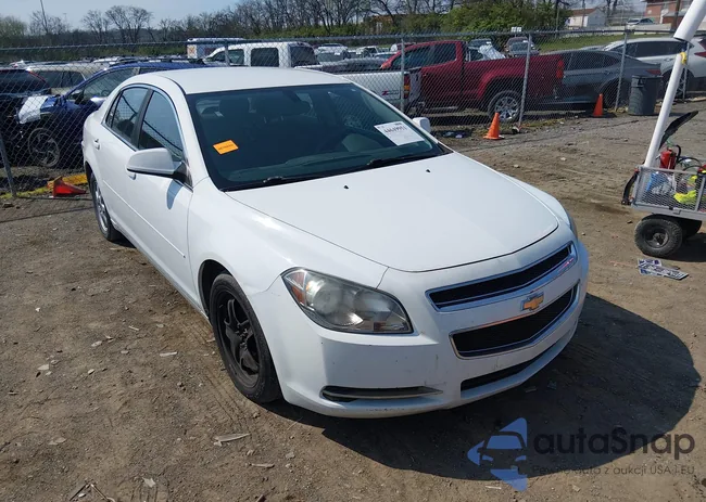 1G1ZC5EBXAF142644: 44649951