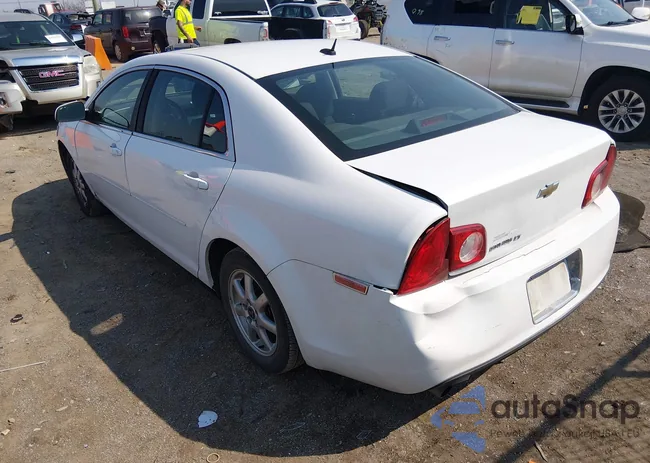 1G1ZC5EBXAF142644: 44649951