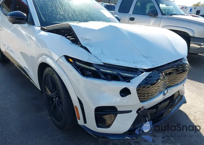 3FMTK4SX1SMA08807: 44651353