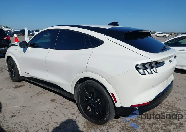 3FMTK4SX1SMA08807: 44651353