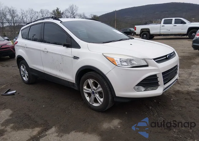 1FMCU9GX8EUA96660: 44659184