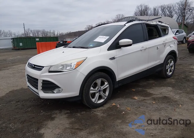 1FMCU9GX8EUA96660: 44659184