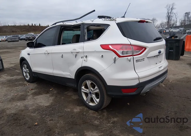 1FMCU9GX8EUA96660: 44659184