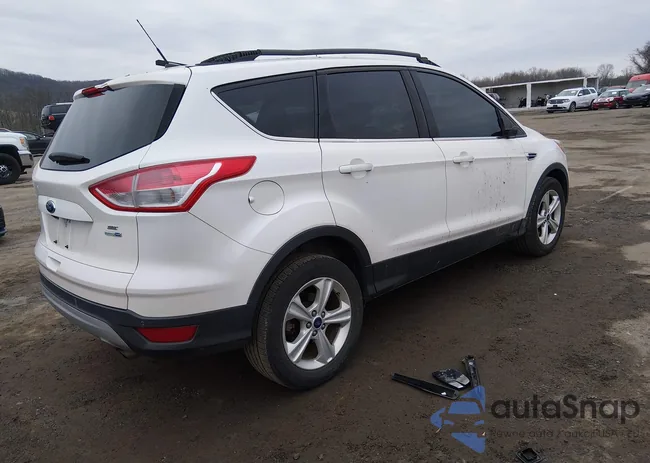 1FMCU9GX8EUA96660: 44659184