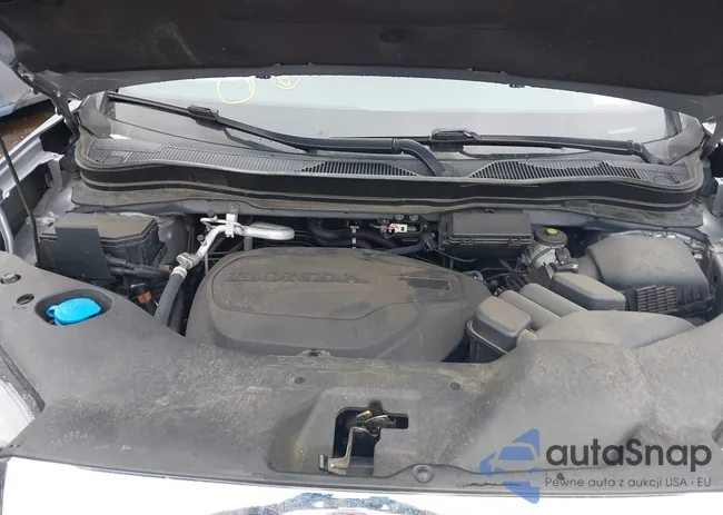 5FNYF8H50NB011234: 44663351