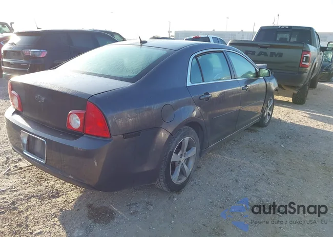 1G1ZC5EB1AF267256: 44664557