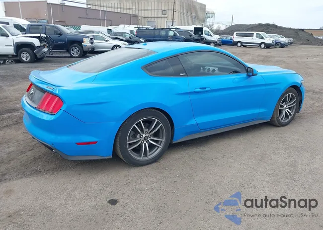 1FA6P8TH1H5204574: 44670630