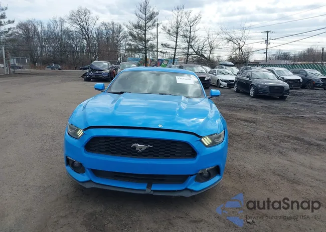 1FA6P8TH1H5204574: 44670630