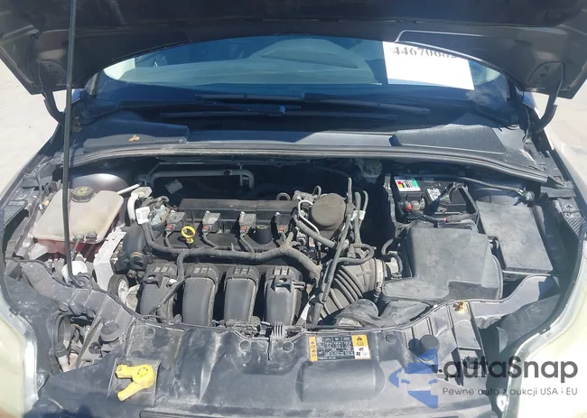 1FADP3N22EL460247: 44670682