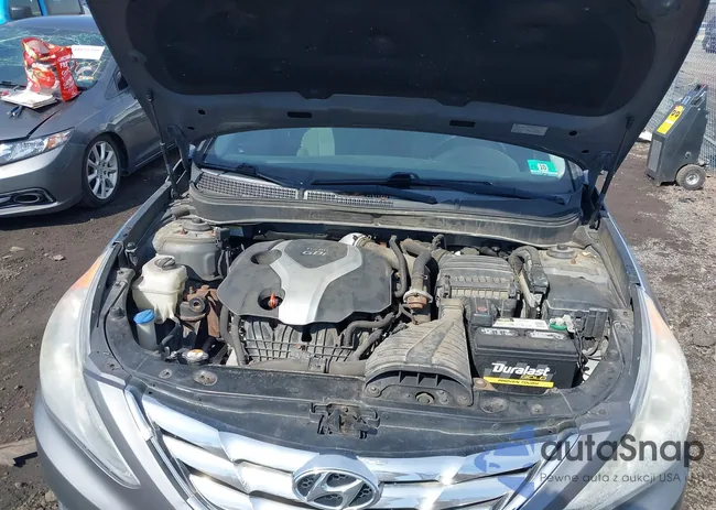 5NPEC4AB8DH796851: 44675861