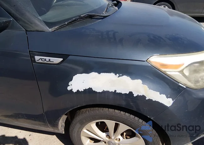 KNDJP3A59E7007202: 44676509