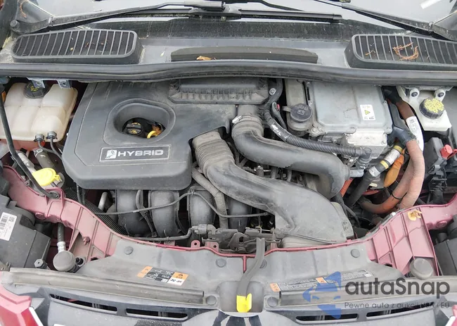 1FADP5DU9HL112075: 44682539