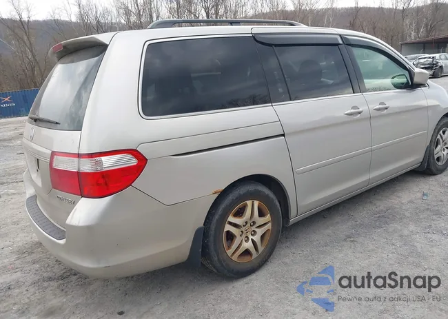 5FNRL38795B065102: 44683478