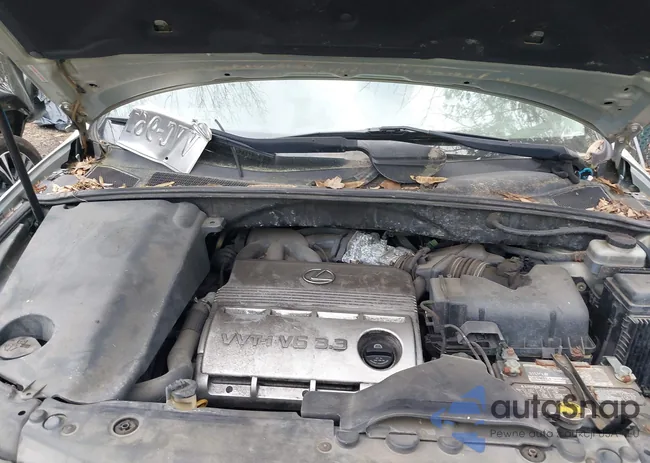 JTJGA31U940006607: 44685775