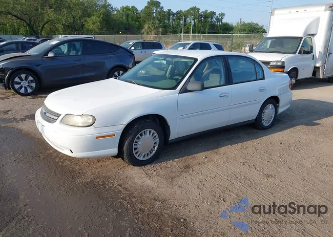 1G1ND52F05M113576: 44686545