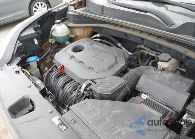 KNDPNCACXH7052281: 44687228