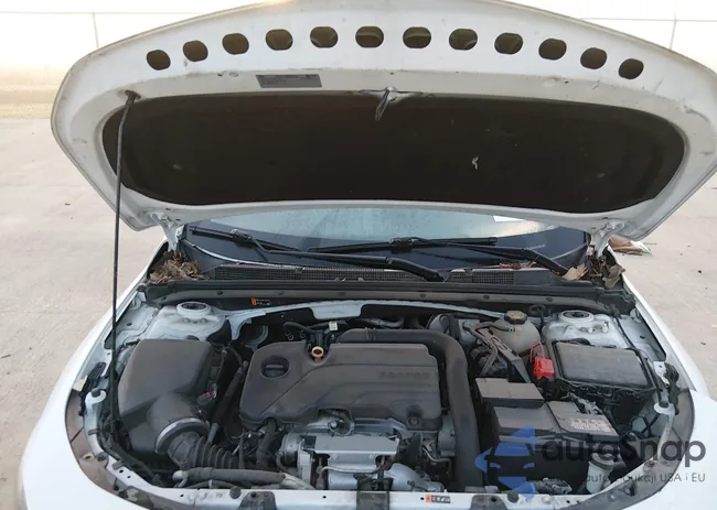 1G1ZB5ST6MF045557: 44688755