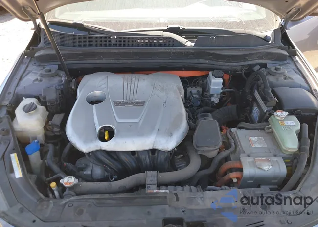 KNAGM4AD8C5012428: 44690575