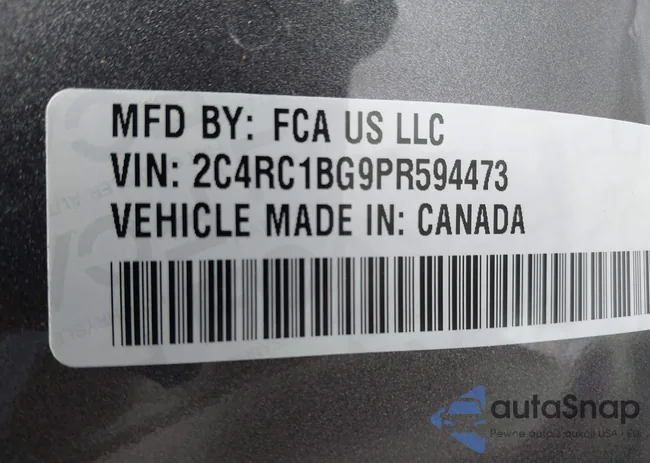 2C4RC1BG9PR594473: 44701752