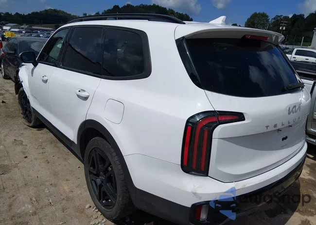 5XYP3DGC4RG493377: 45978852