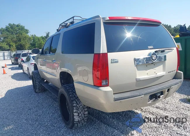 1GYFK66838R171282: 46095377