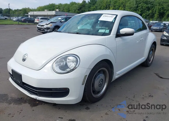 3VWJP7AT9CM619244: 45893243