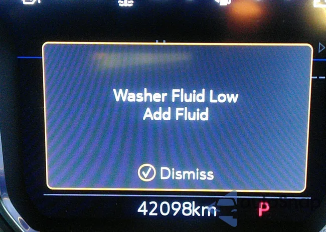 1GKS2DKL9MR101299: 11750243