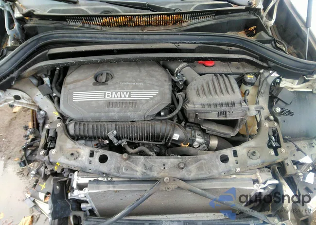 WBXJG9C03M5S61442: 11867058