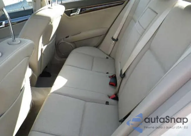 WDDGF81X39R045696: 9525196