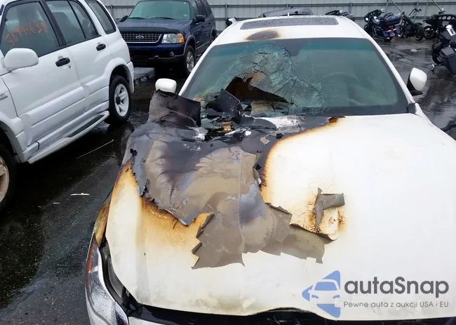 ZAM56RRA2F1141008: 58745699