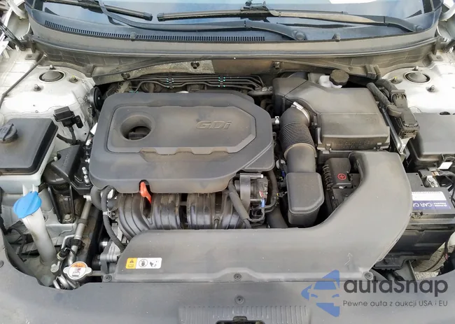 5NPE24AFXGH348203: 59785899