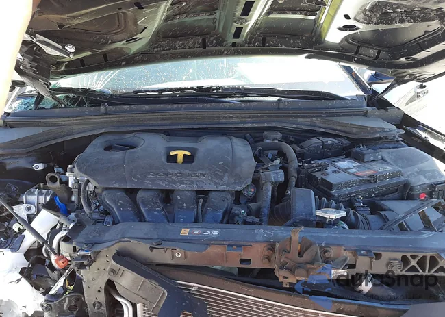 5NPD74LF4LH543492: 42176751