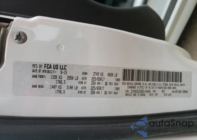 2C4RDGEG9GR145046: 44953441