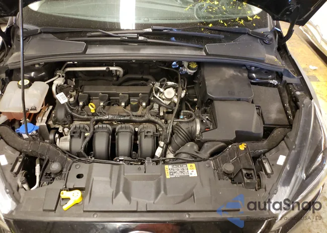 1FADP3F22GL406710: 55003601