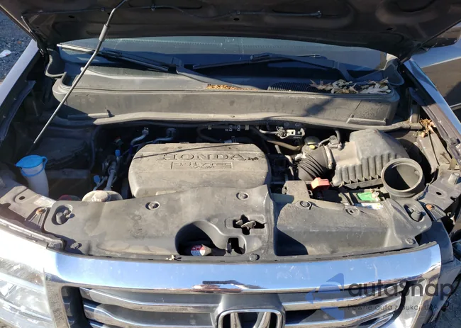 5FNYF4H50DB004811: 64292901