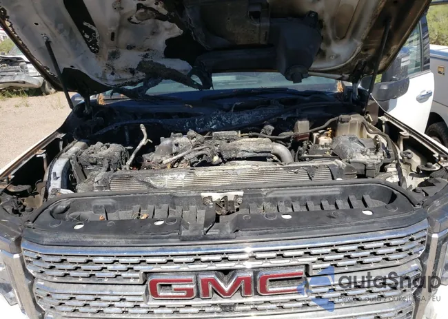 1GT49WEY1LF269439: 55172292