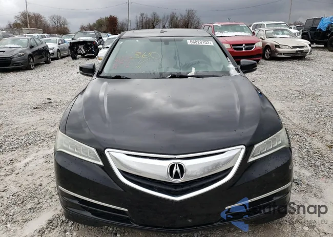 19UUB1F33FA012361: 45464755